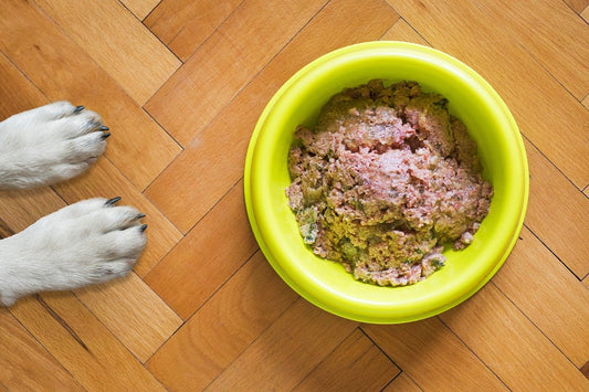 Nourishing Your Pup: The Benefits of Natural, Healthy Dog Food - DOGGEAR