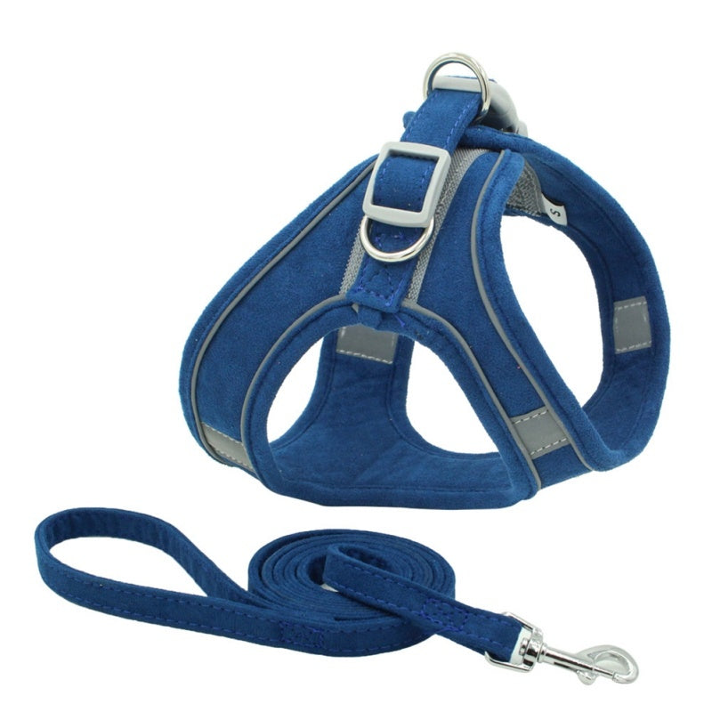 Comfort Harness for Joyful Walks