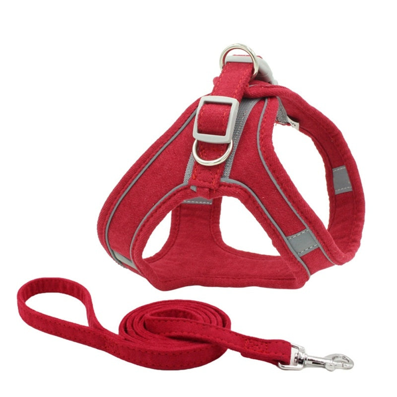 Comfort Harness for Joyful Walks