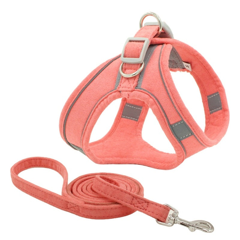 Comfort Harness for Joyful Walks