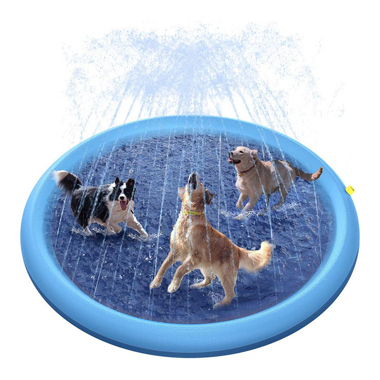 Summer Fun for Your Furry Friend!