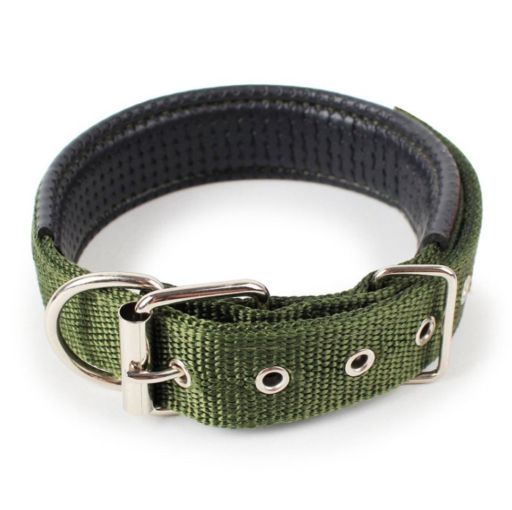 Comfortable Dog Collar - Secure and Stylish - DOGGEAR