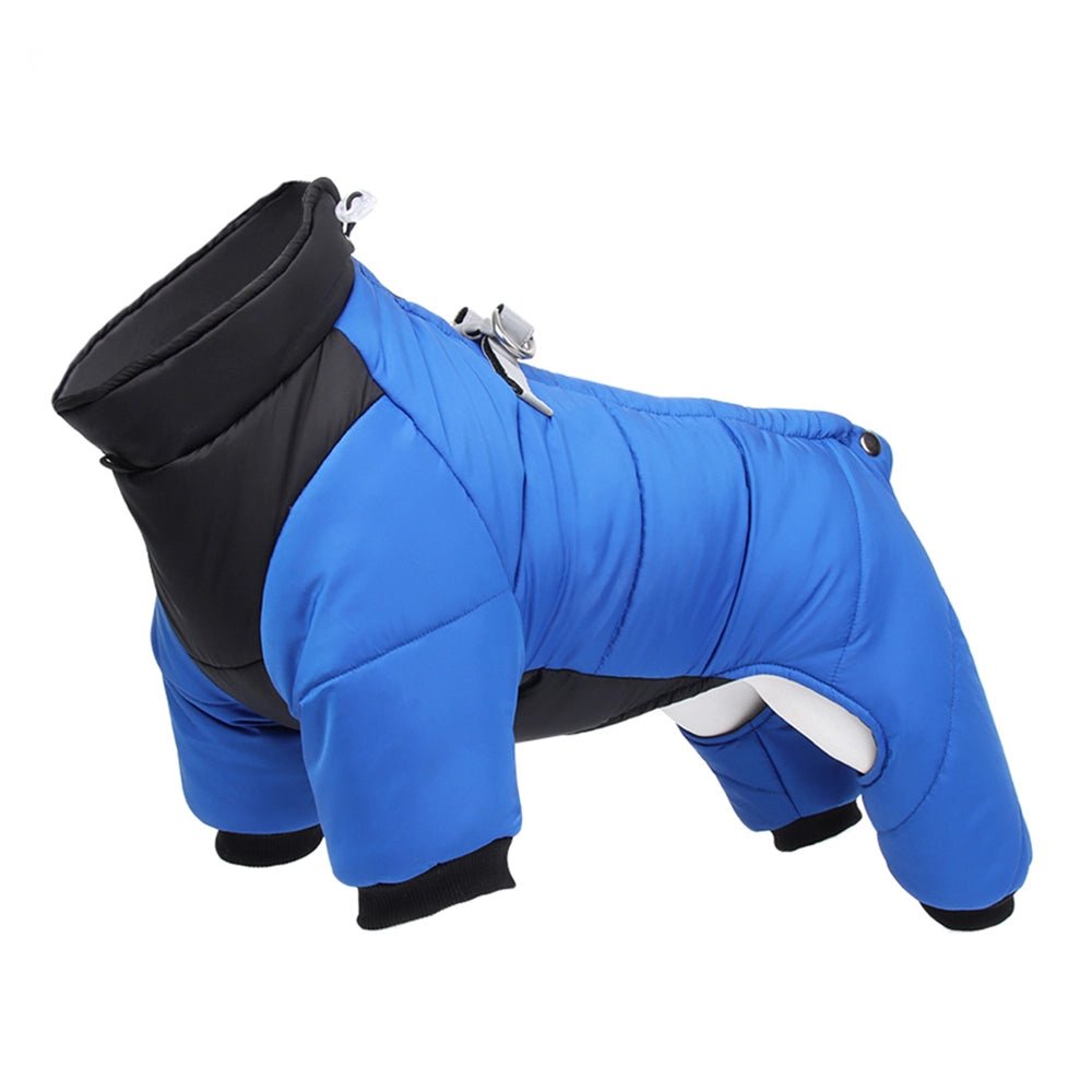 Cozy Canine Comfort: Winter Apparel for Happy Pups! - DOGGEAR