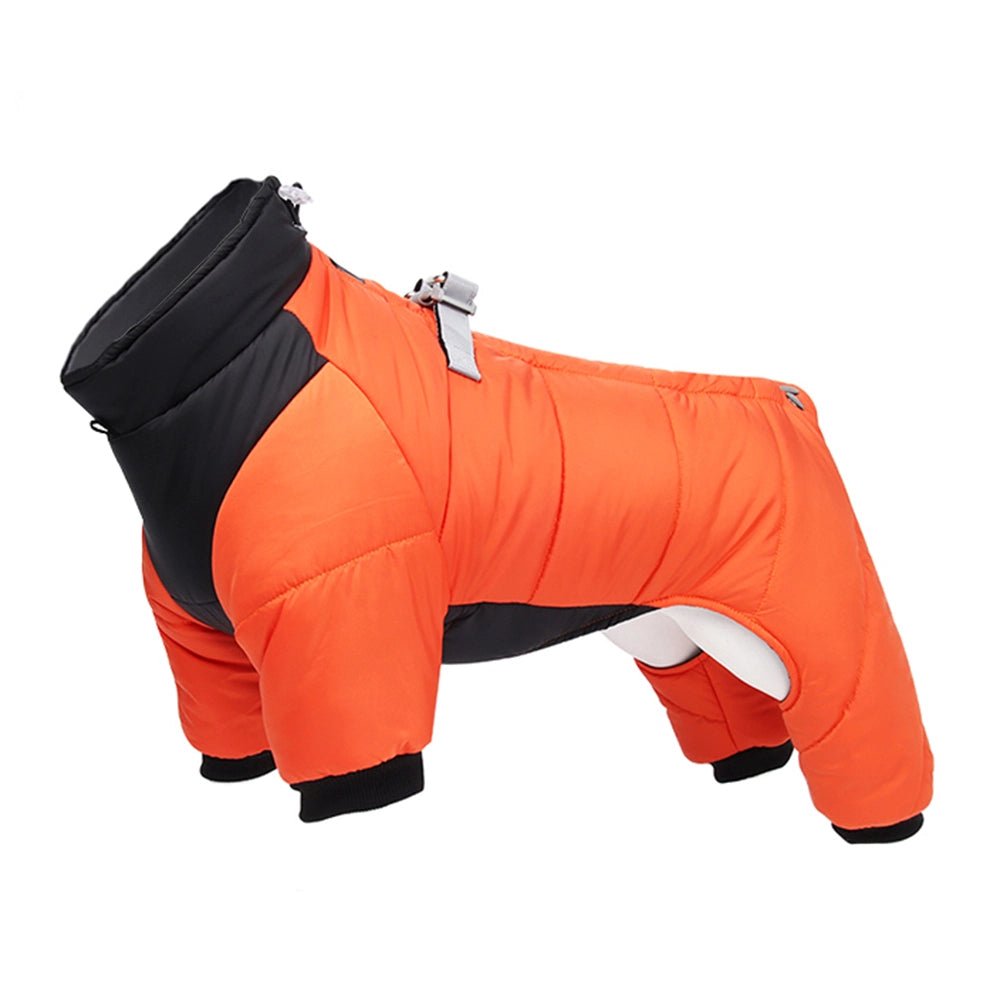 Cozy Canine Comfort: Winter Apparel for Happy Pups! - DOGGEAR