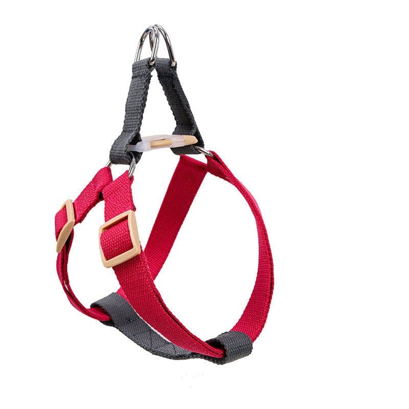 Embrace Adventure: Canine Comfort Harness - DOGGEAR