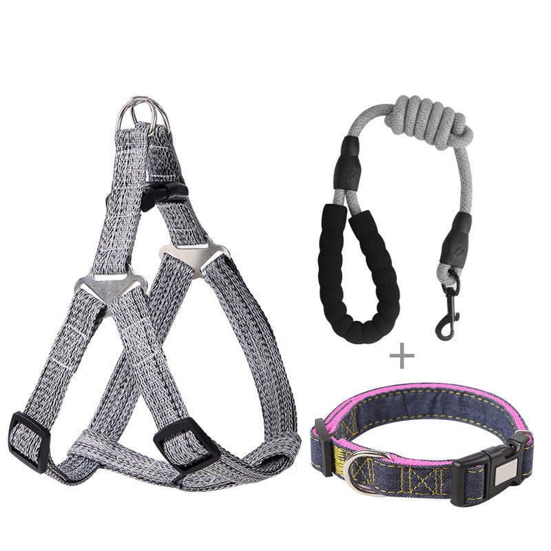 Embrace Adventure: Comfort in Style! - DOGGEAR