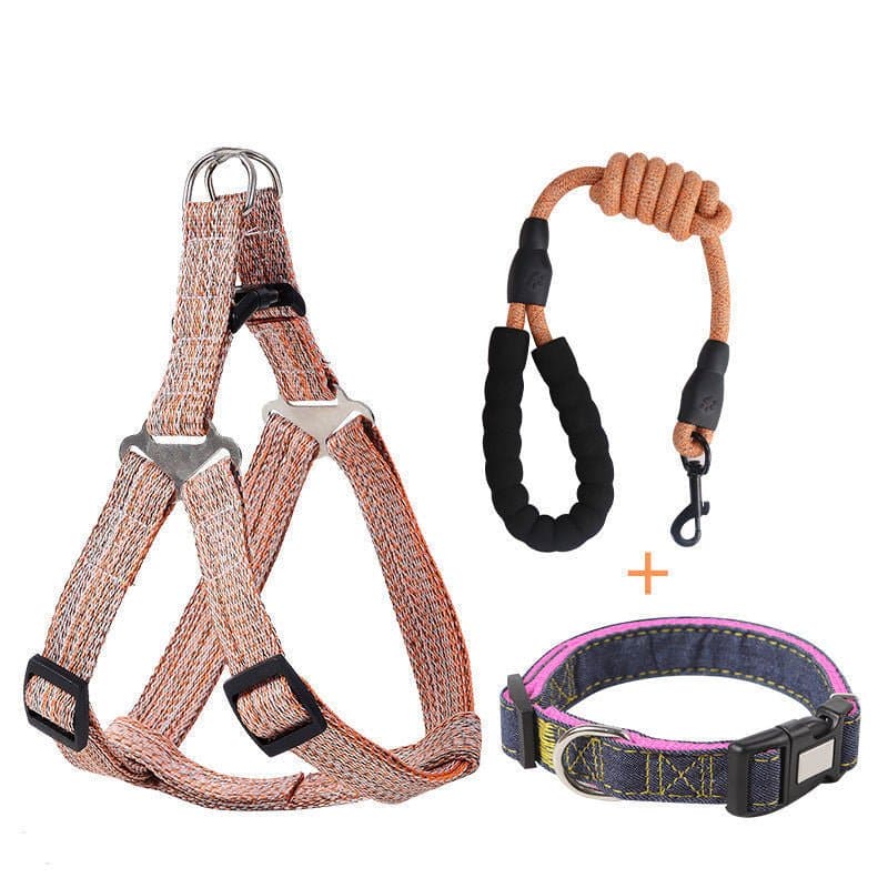 Embrace Adventure: Comfort in Style! - DOGGEAR