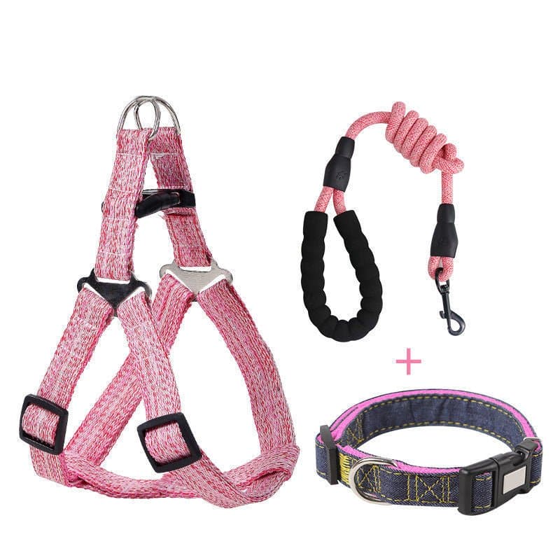 Embrace Adventure: Comfort in Style! - DOGGEAR